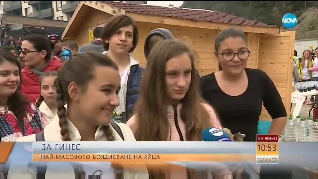 Рекордно боядисване на яйца във Велинград