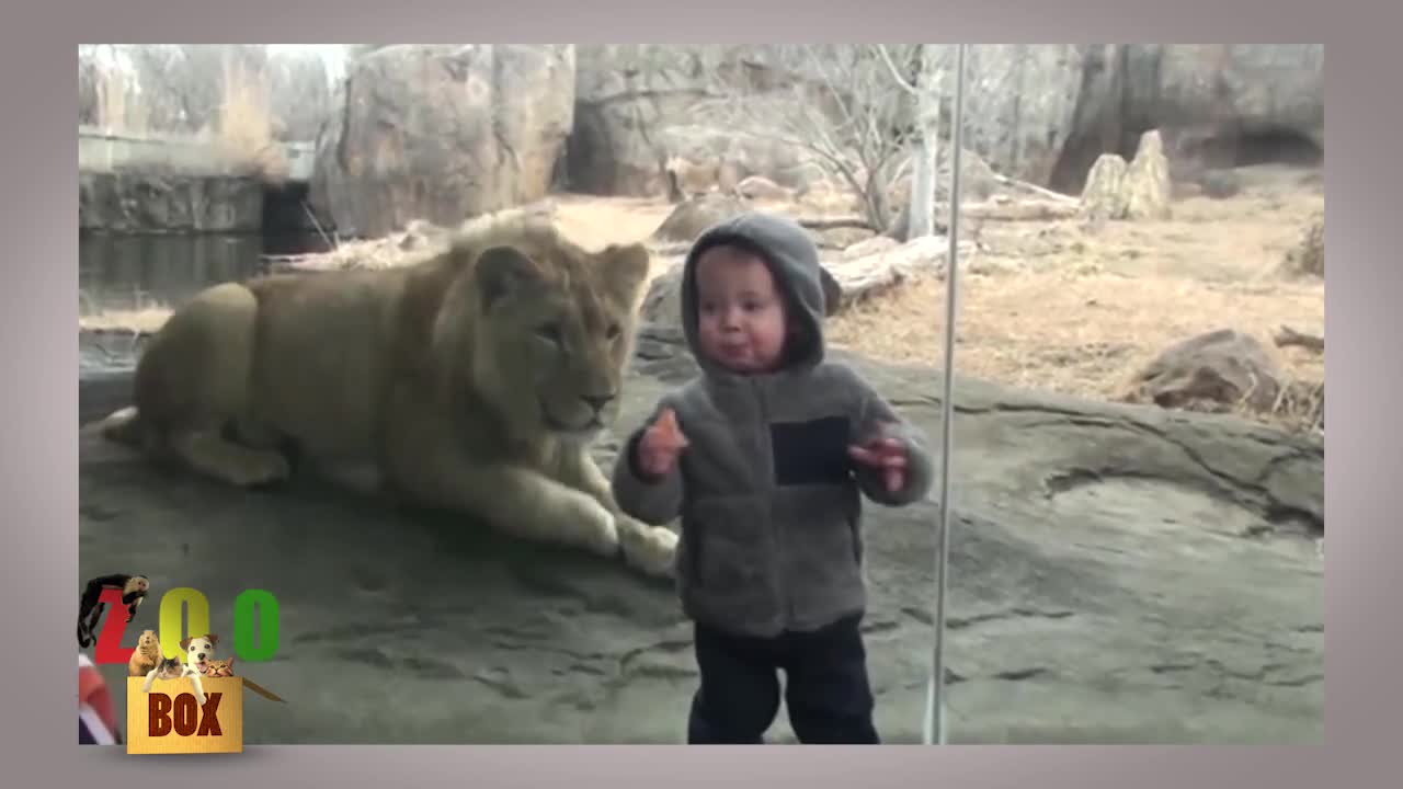 Първи срещи в зоопарка :D
