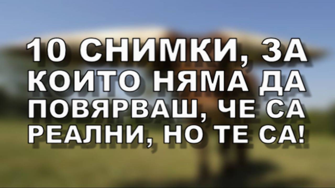 10 снимки, за които няма да повярваш, че са реални, но те са!