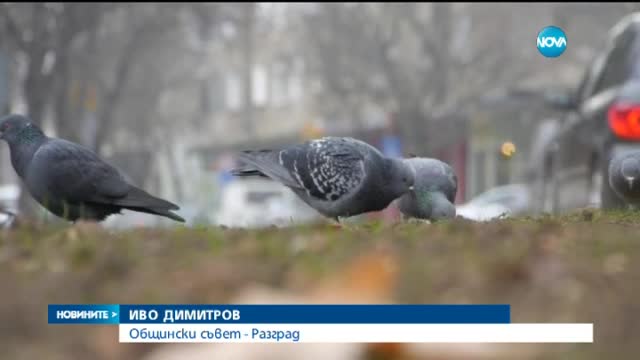 Разград срещу идеята в София да има такса за коли от провинцията