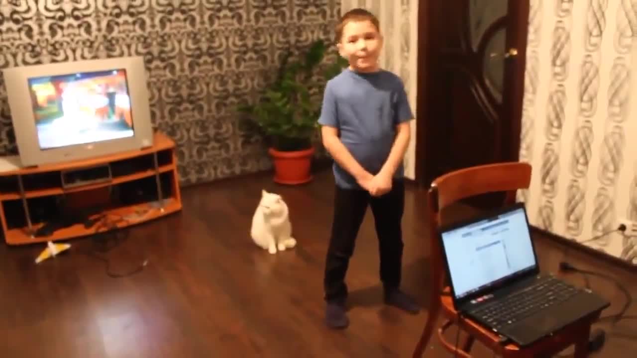 Смях ... Ето че и котките мразят руската музика