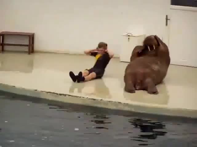 Ето така започва деня при някои