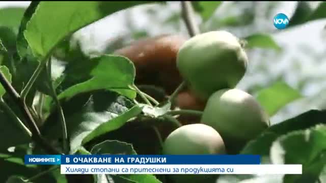 Хиляди земеделци са притеснени за продукцията си