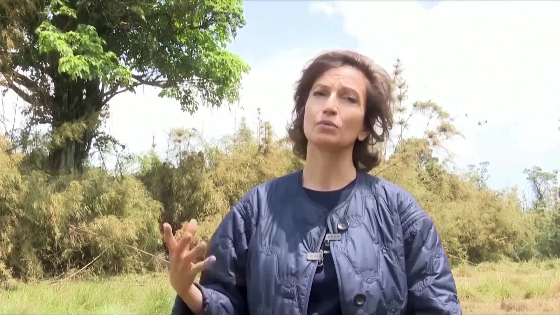 Бебета горили от застрашен вид получиха имена на специална церемония