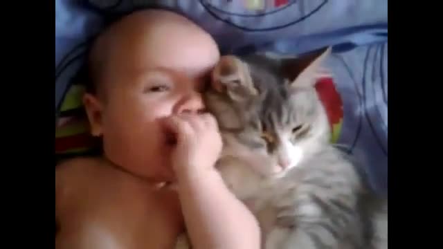 Котка обича бебе ...