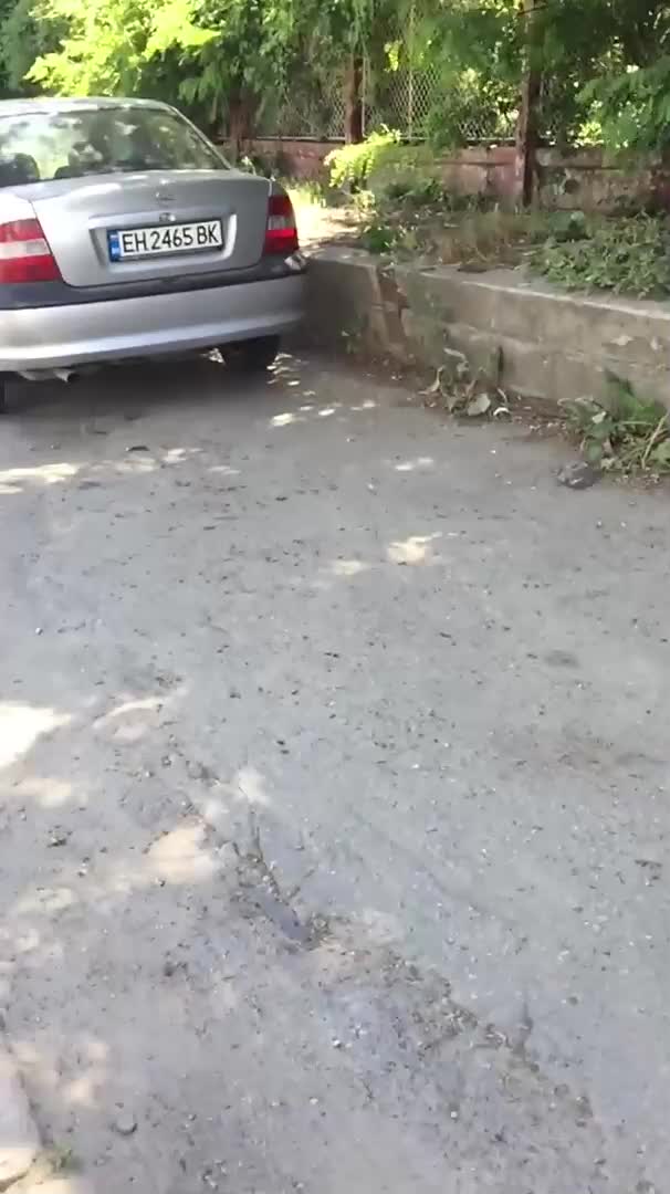 Разходка с бебешка количка