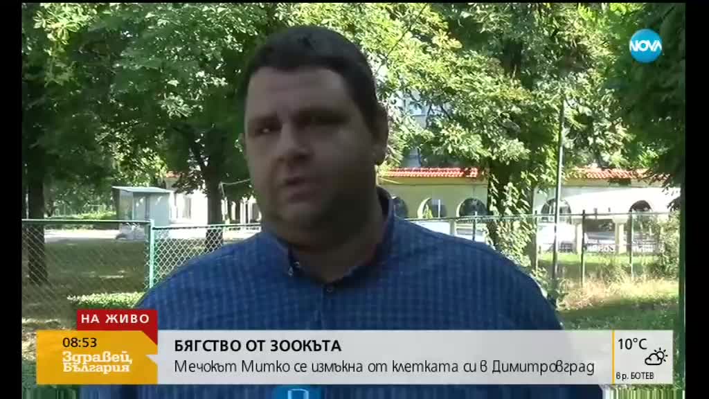 Мечка избяга от клетката си в зоокъта в Димитровград