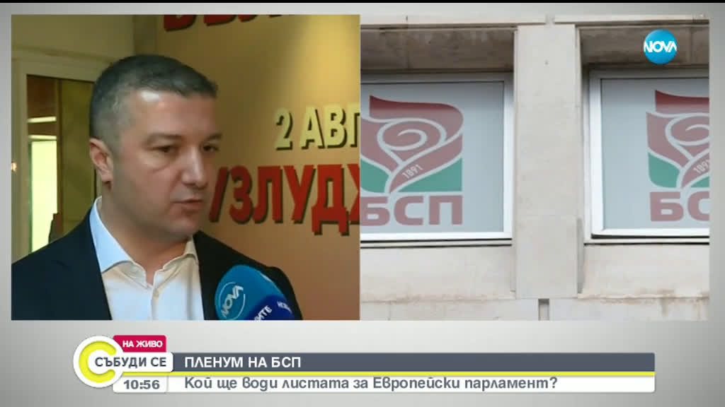 БСП предлага Елена Йончева за водач на листата за евровота