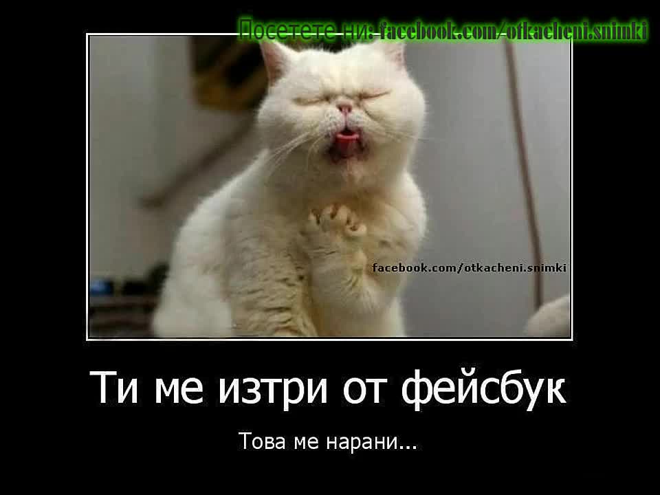 Най - откачените снимки събрани от нета Vol. 3
