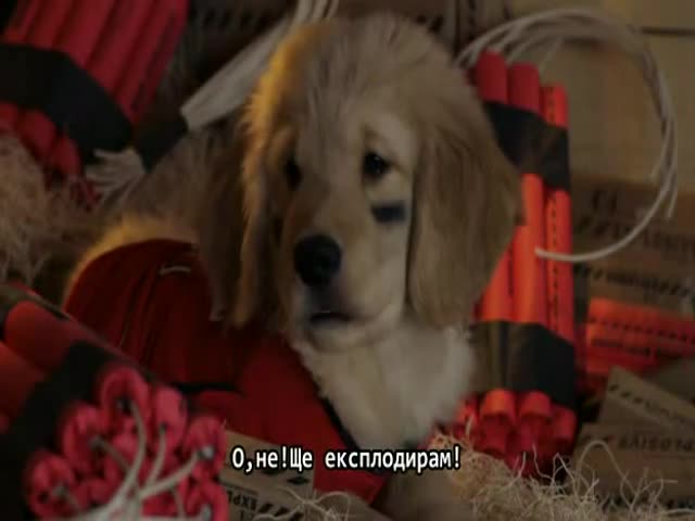 Treasure Buddies part 12 bg sub Сковиео на Бди а 12 бг б