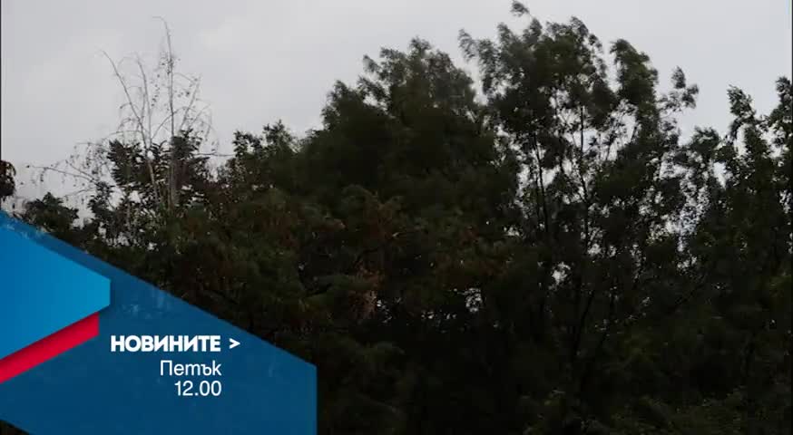 Новините на Нова – обедна емисия на 15 април