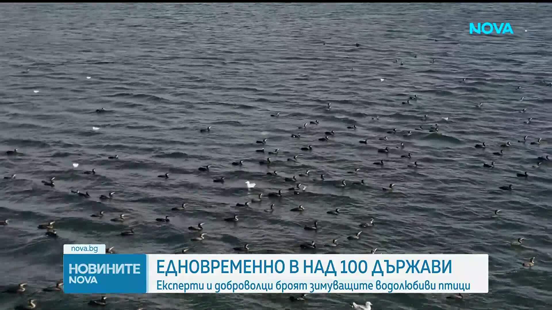 Започва броенето на водолюбиви птици