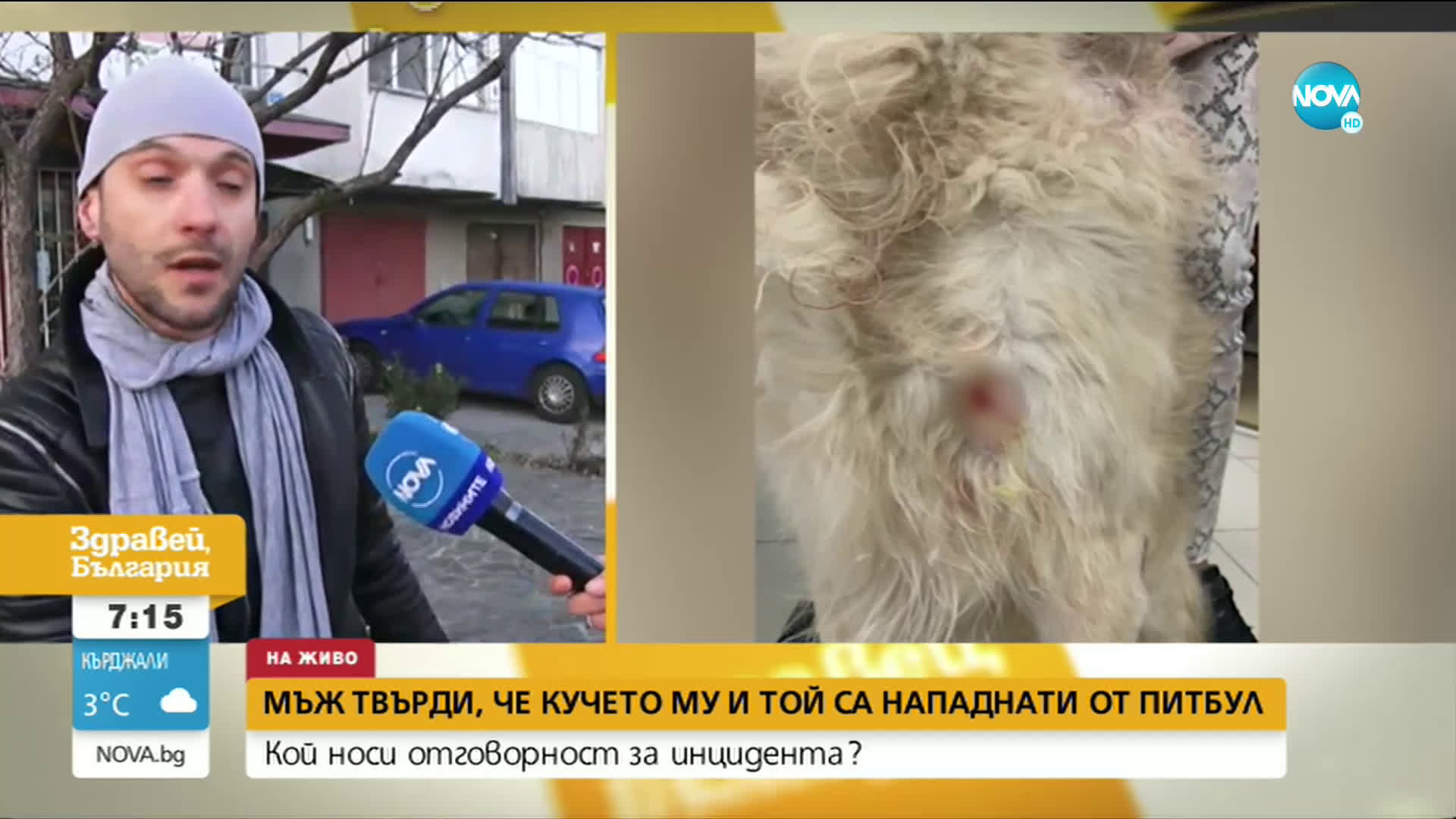 Мъж твърди, че той и кучето му са били нападнати от питбул