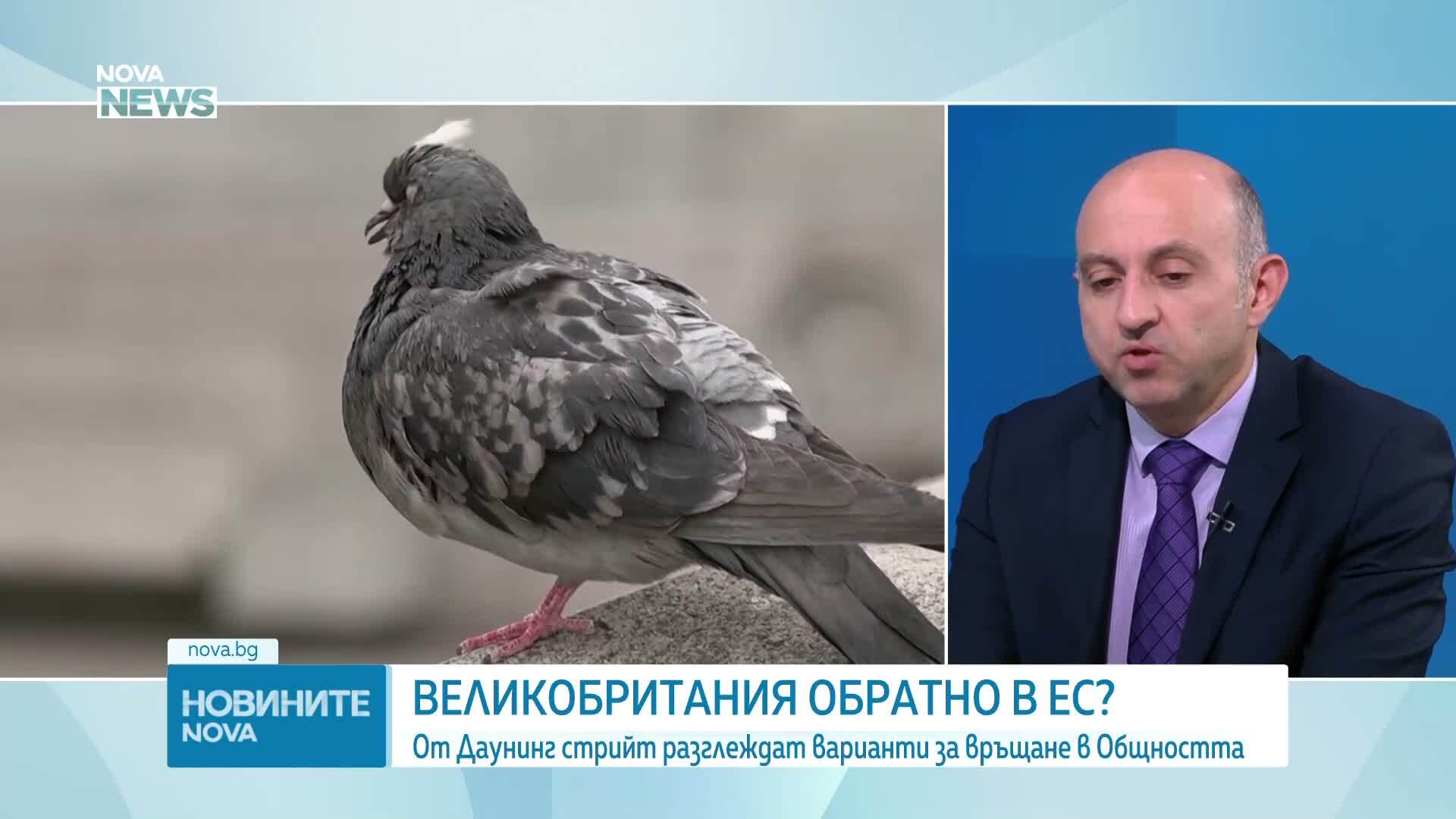 Тръмп оказва натиск върху Европа да освободи резерв от горива, в опит да свали цените в САЩ преди междинните избори, смята анали