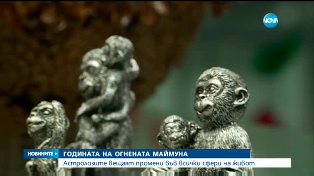Посрещаме годината на огнената маймуна