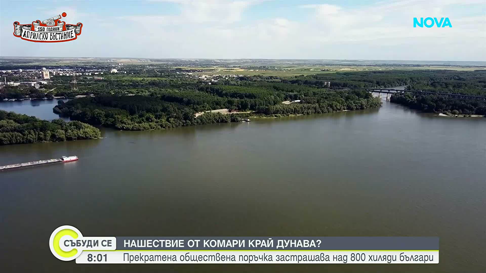 Нашествие от комари застрашава живеещите по поречието на Дунав