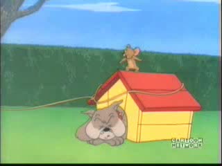 Tom amp Jerry  -  The Dog House