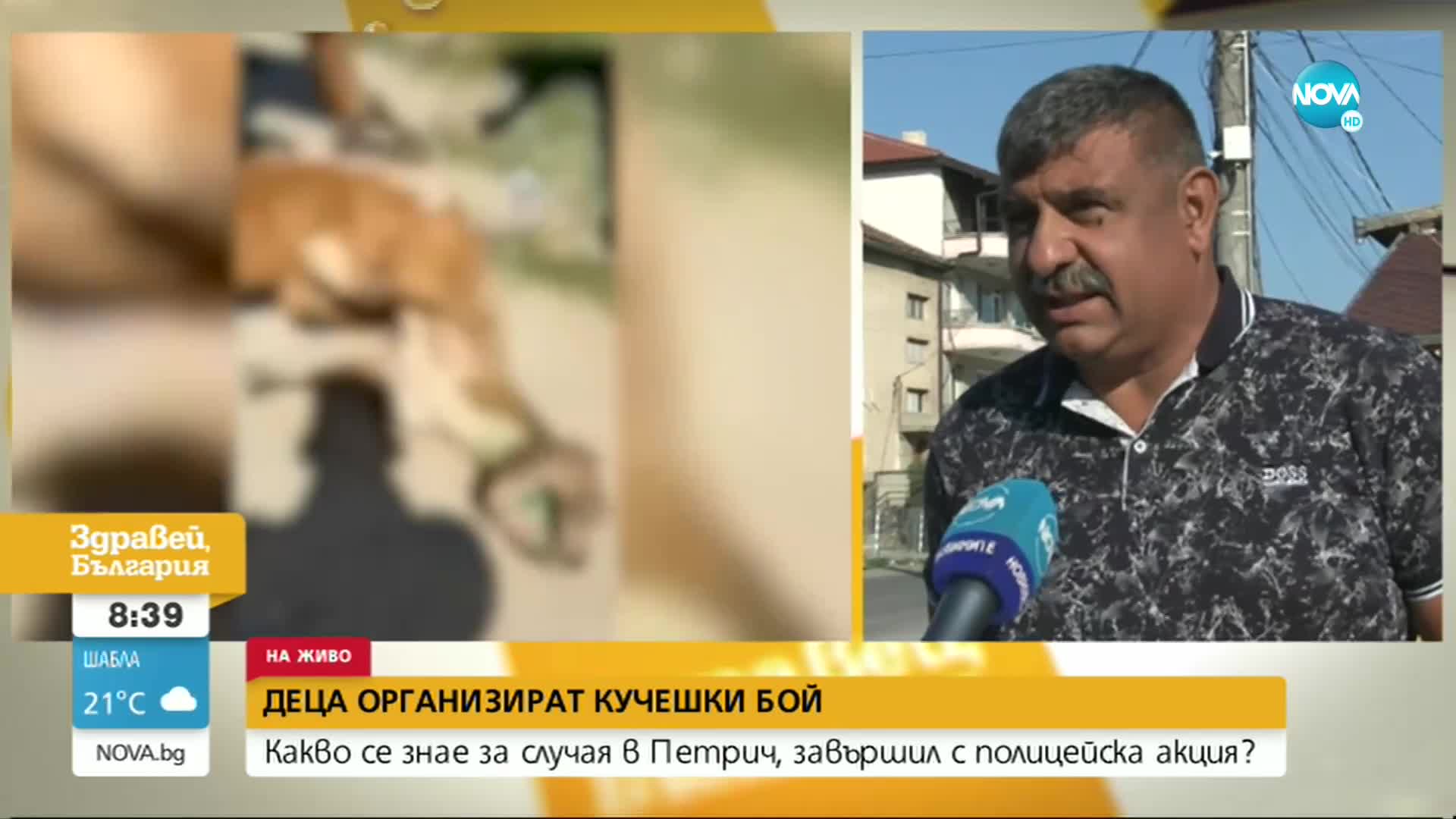 Организират ли кучешки боеве в Петрич