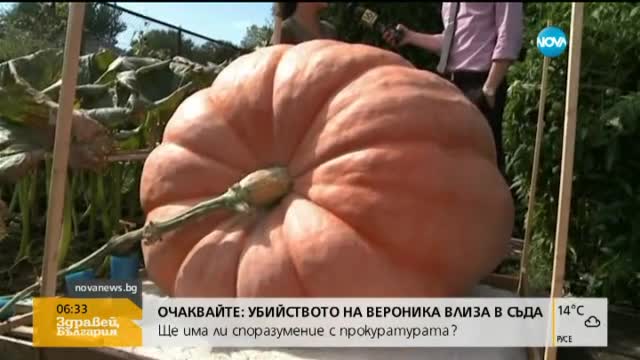 В САЩ отгледаха 400-килограмова тиква