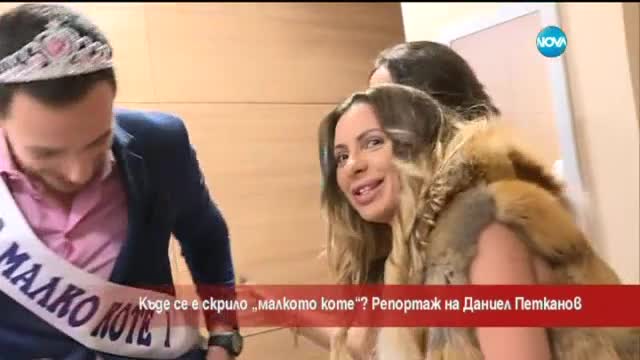 Кой участва в "Мис Малко коте"?