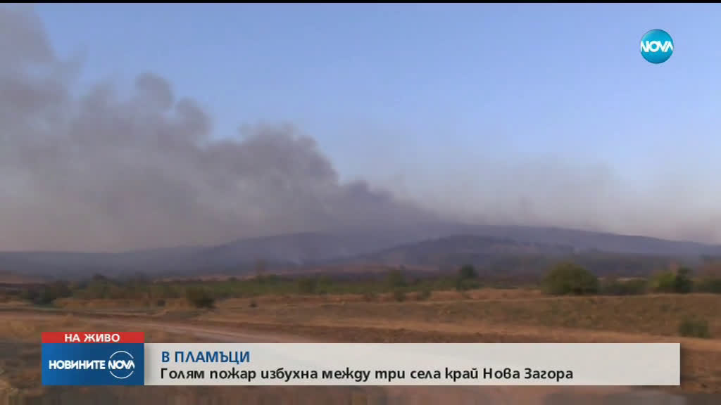 Голям пожар обхвана борова гора край Нова Загора