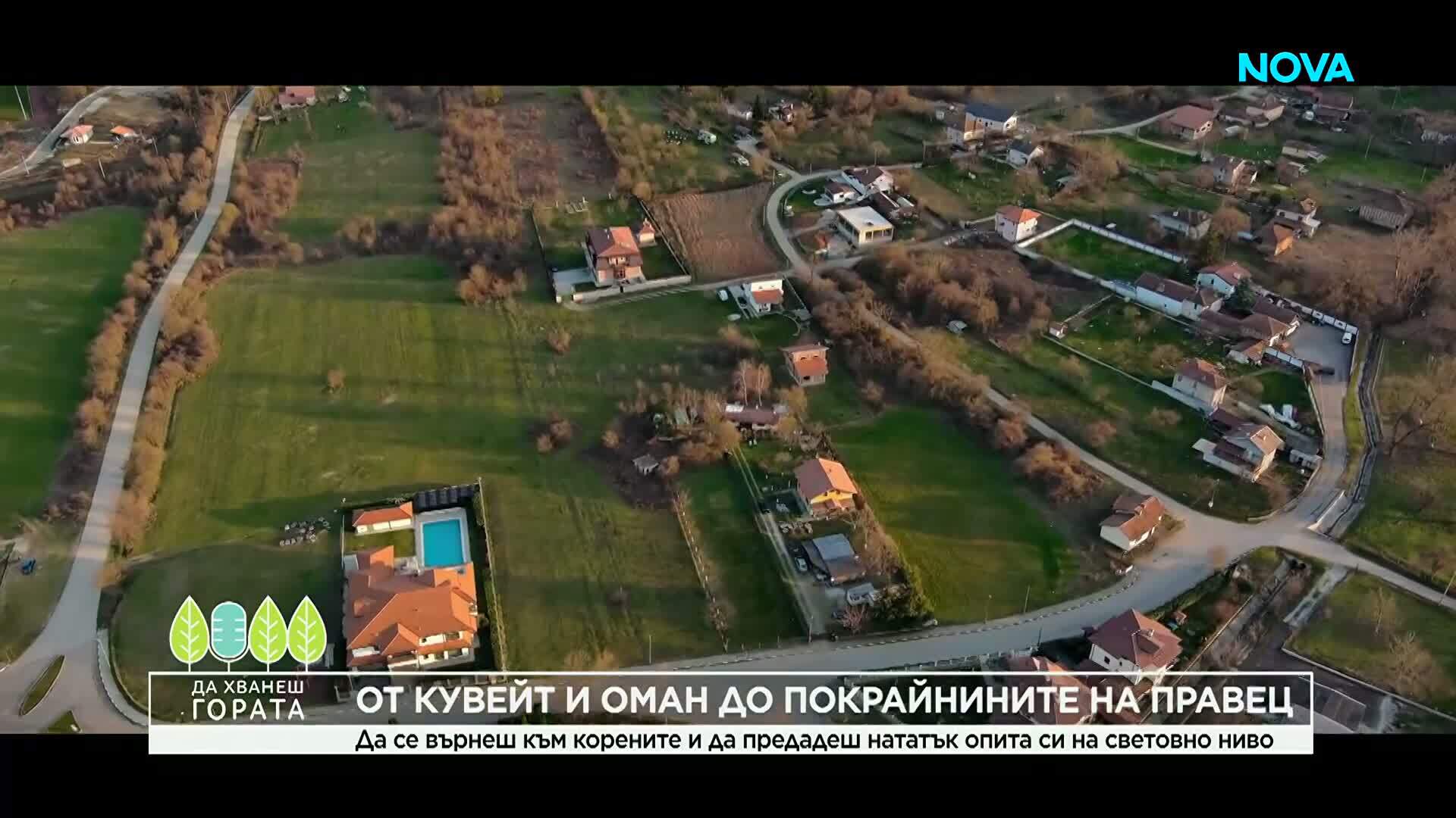 Да хванеш гората | От Кувейт и Оман до покрайнините на Правец | 5 апр. 2026