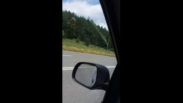 Отрязани орехи