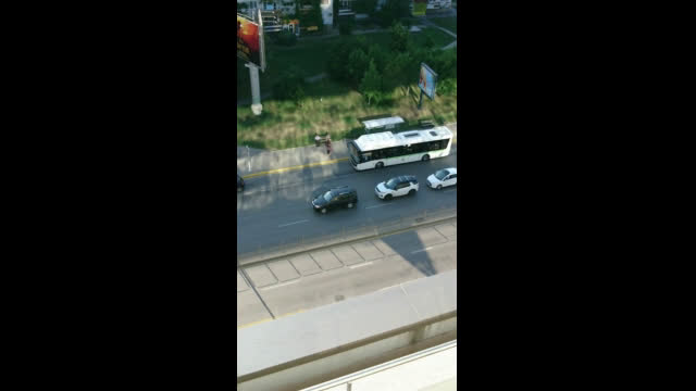 Поведение на пътя
