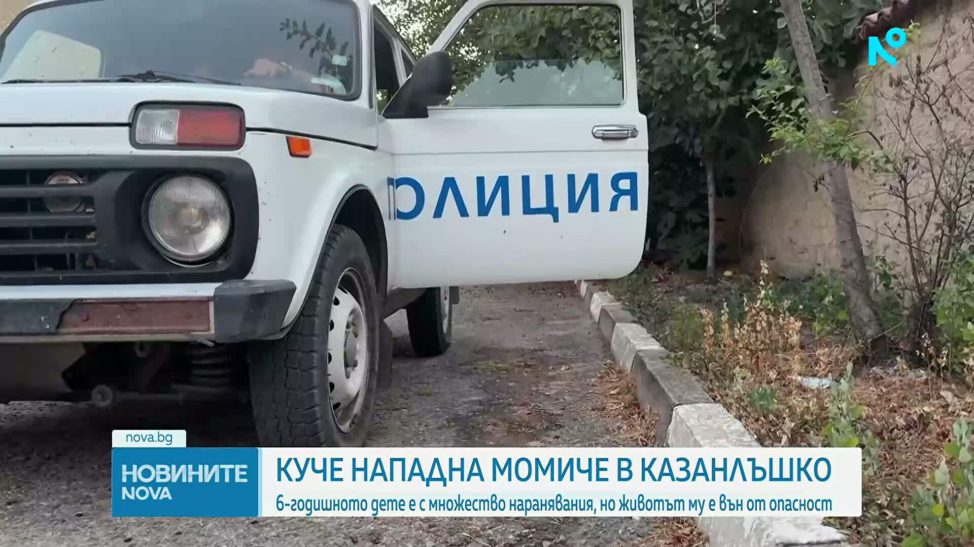 Какво е състоянието на момичето, нападнато от Кане Корсо