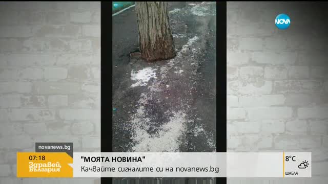 „Моята новина”: Разбито стъкло на кола заради винетка