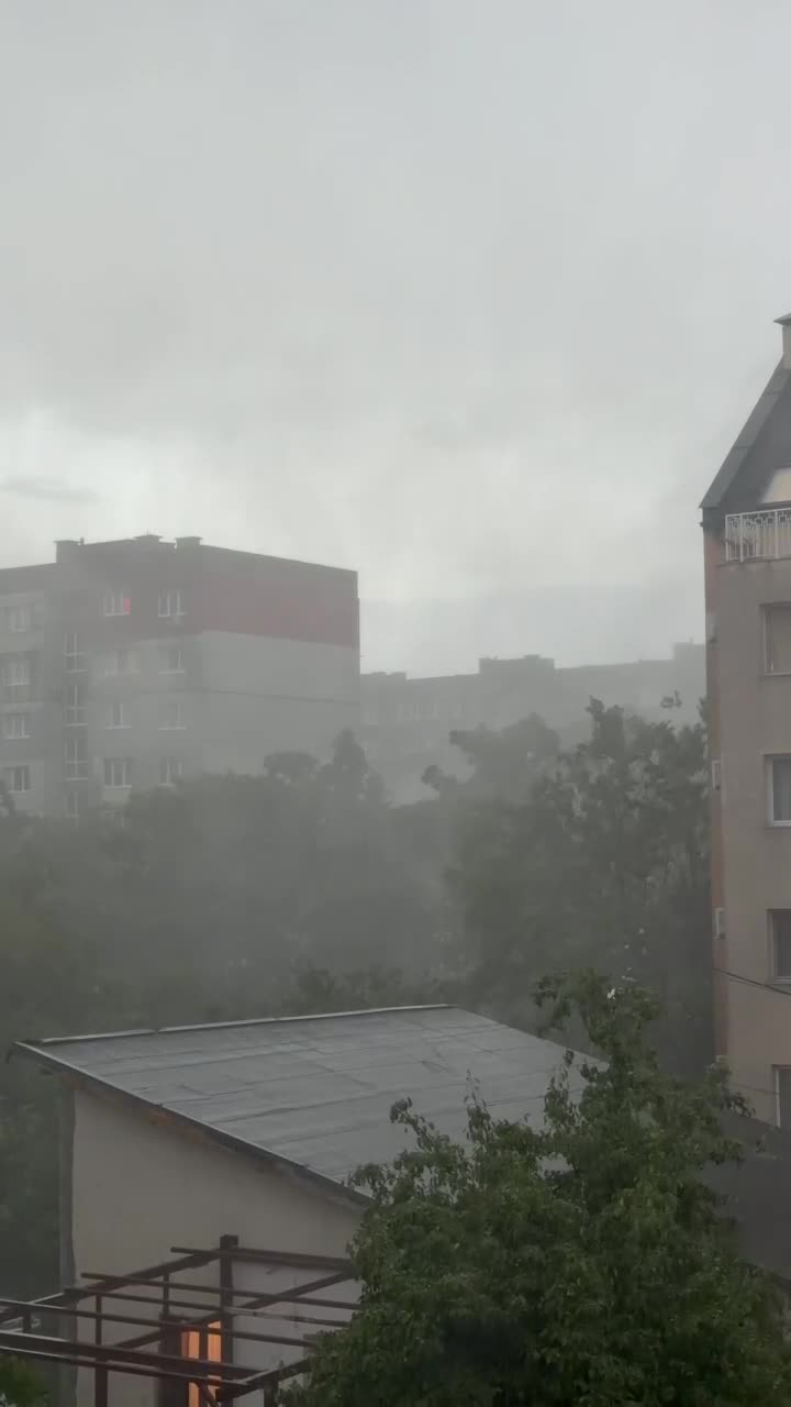 Бурята в София