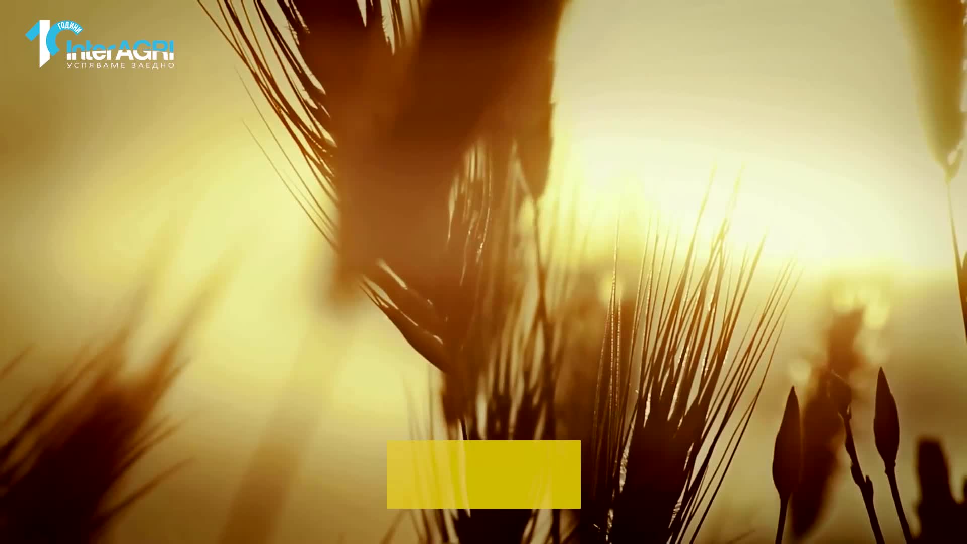 Interagri BONUS 10 New Holland Combines 2023.mp4