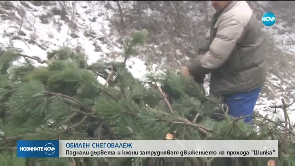 Сняг и леден вятър връщат зимата у нас (ВИДЕО)