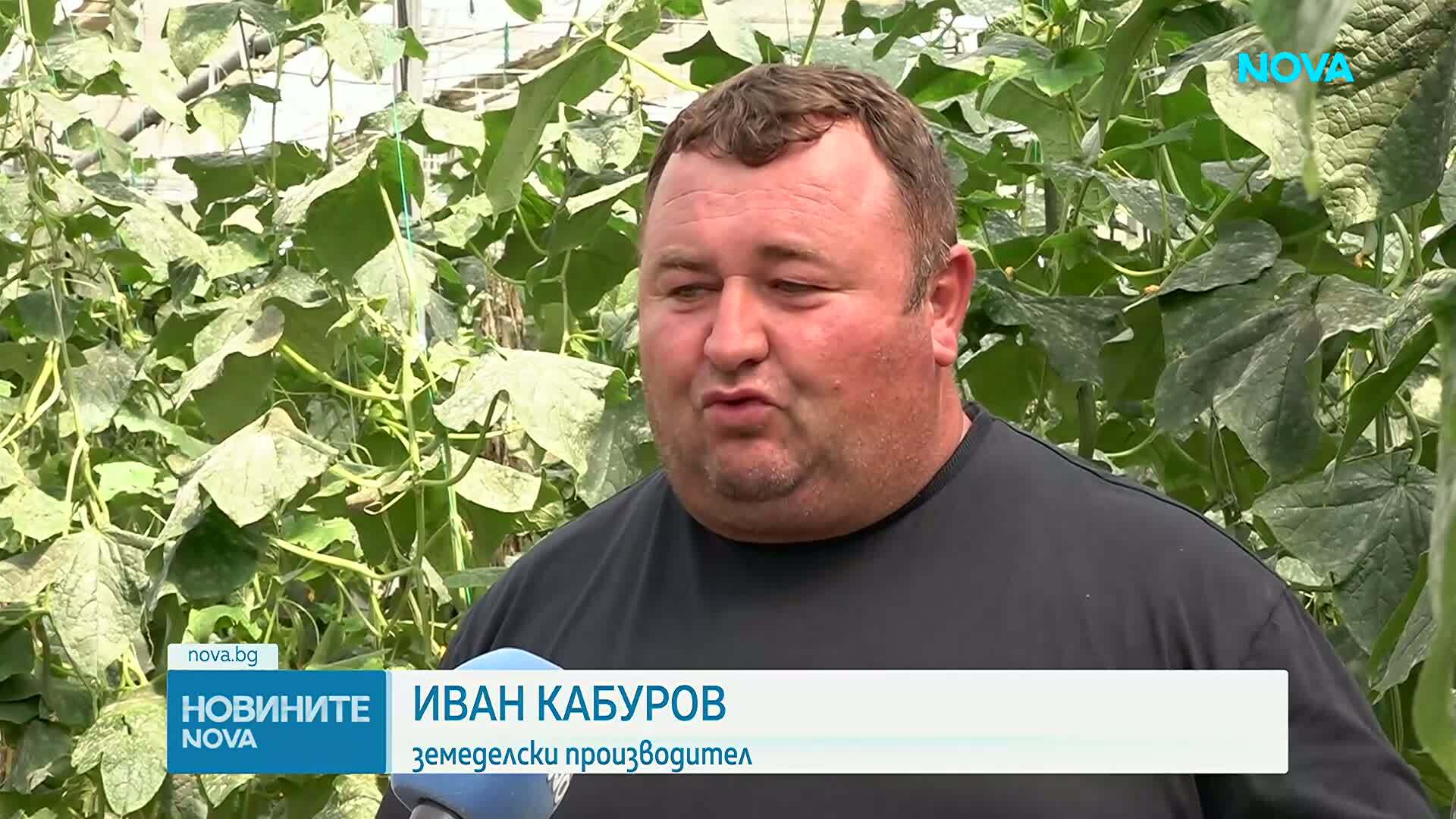 Земеделци сигнализират за натиск от страна на търговските вериги