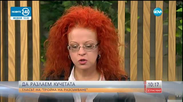 "Тройка на разсъмване" за изборите и смисъла на демокрацията