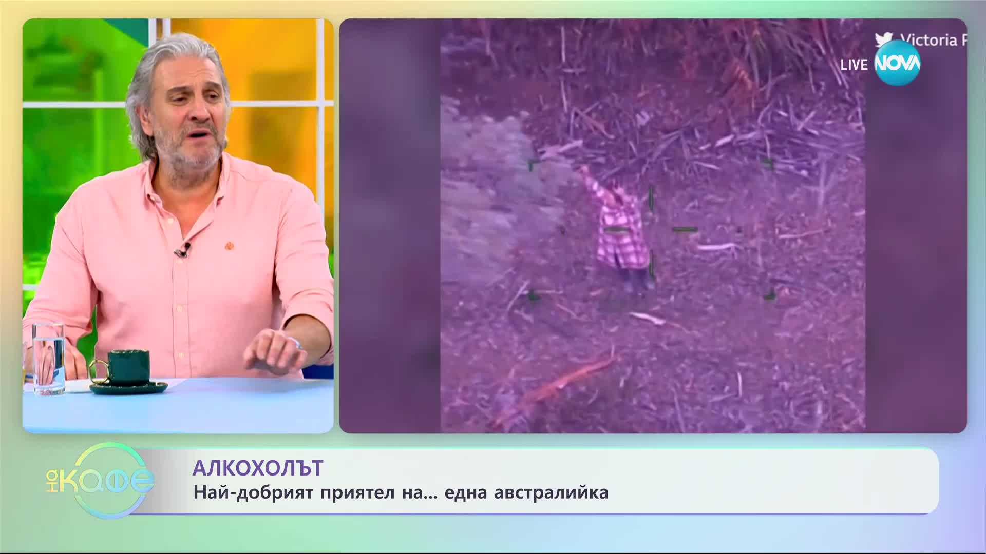 Жена оцеля пет дни заклещена в храсти само на вино и бонбони
