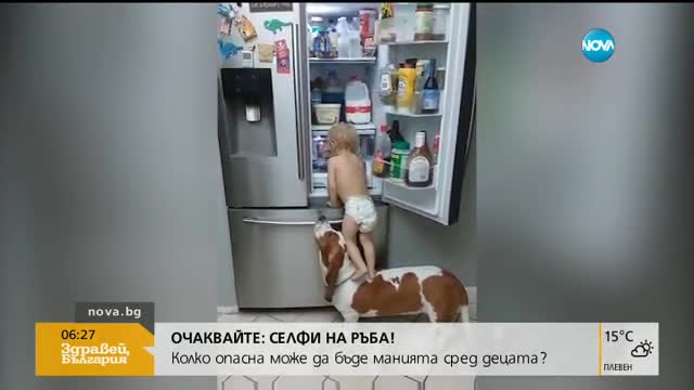 Защо кучето е най-добрият приятел на човека?