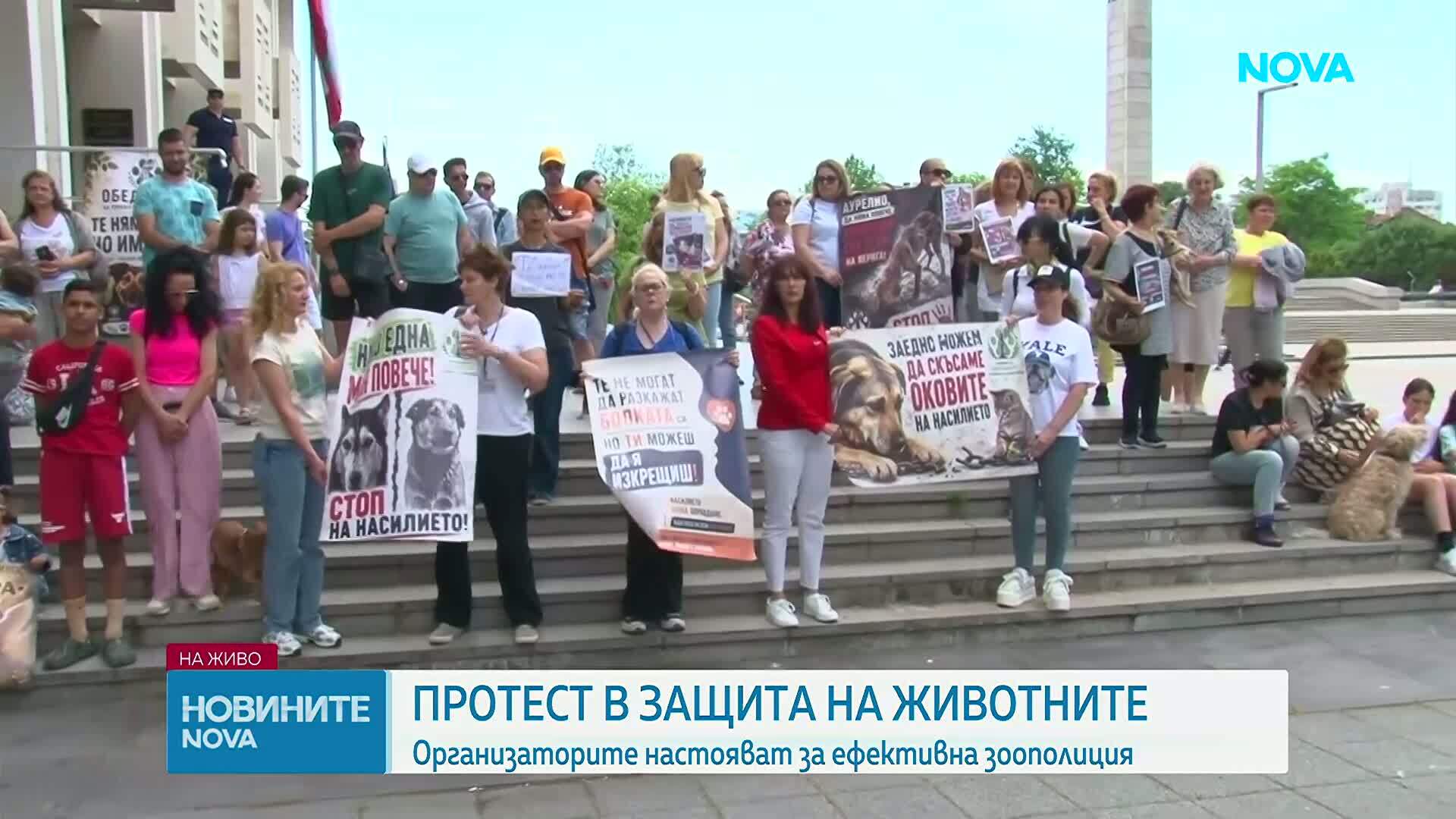 Протест в защита на животните в Бургас