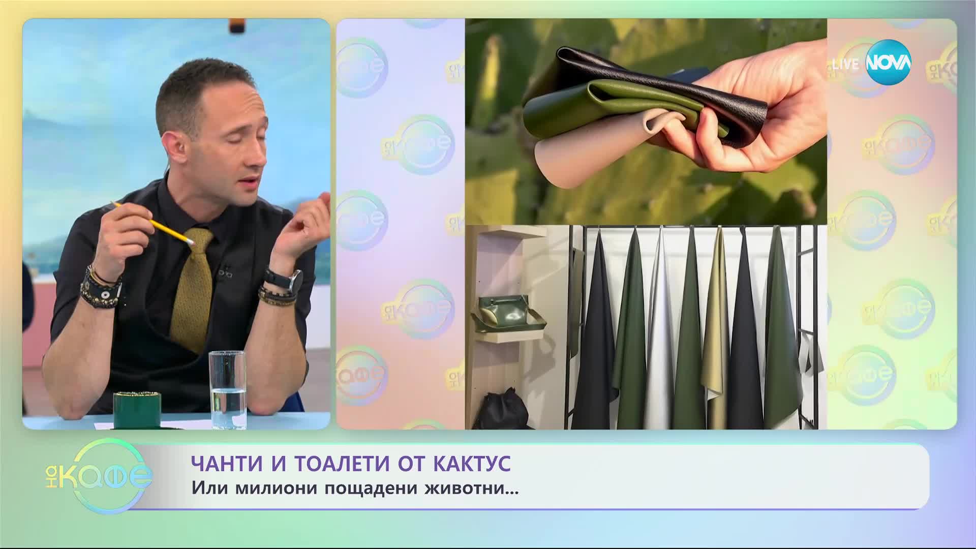 Екофирма създава чанти и дрехи от кактуси