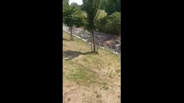 Изровиха пътеката