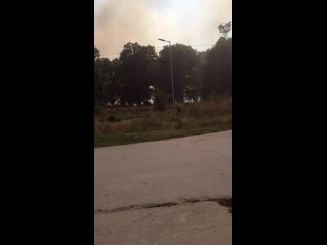 Пожар на метри от жп гарата в Баня