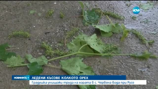 Градушка унищожи ниви в Русенско