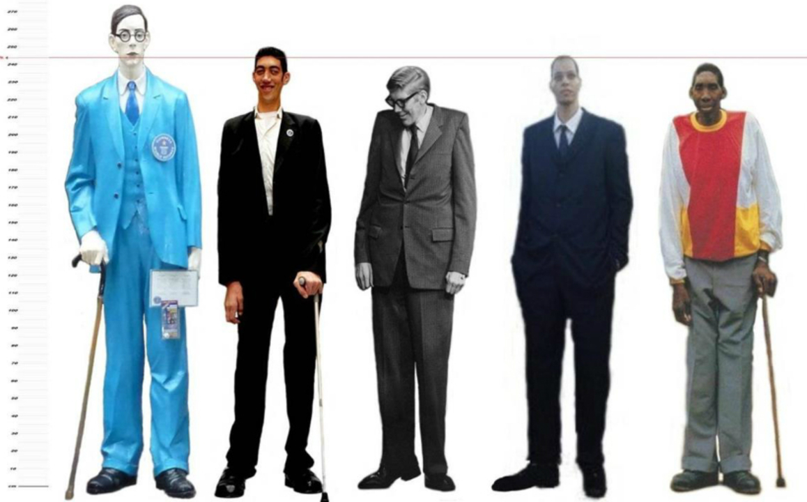 Най-високите хора в света
