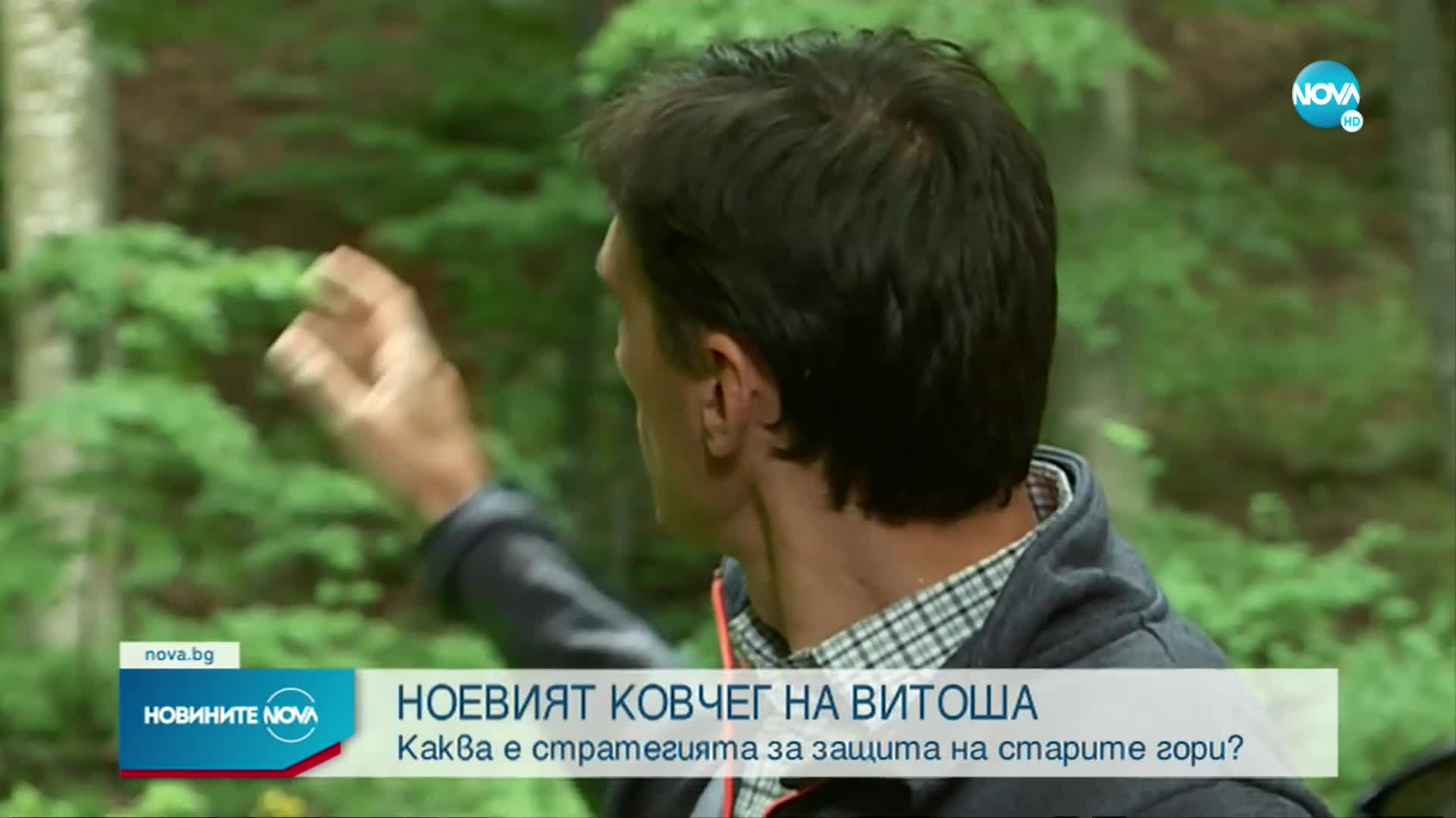Има ли стратегия за защита на старите гори у нас