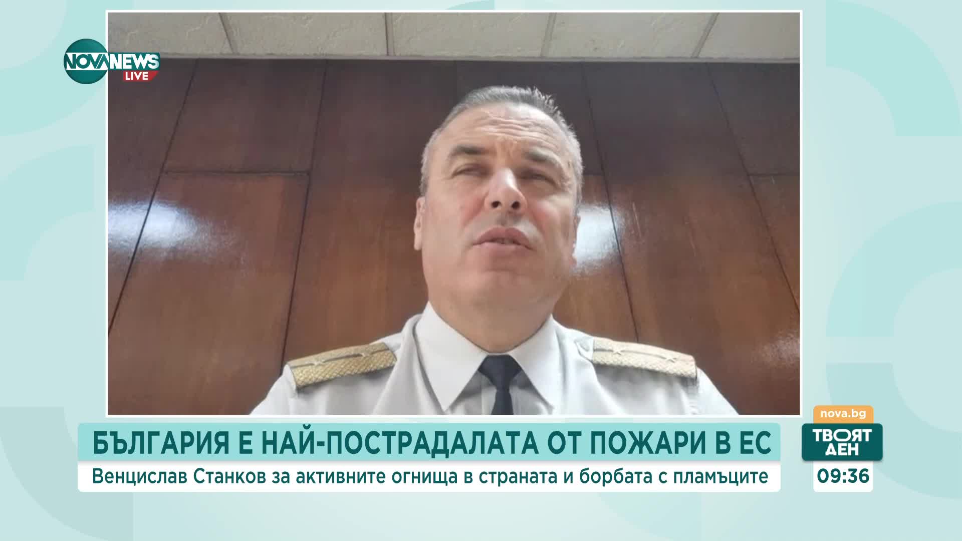 Инж. Станков: Влажната пролет и трайното засушаване през лятото са причината за пожарите