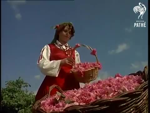 Реклама на България от 1965 година стана хит в социалните мрежи! Вижте я!
