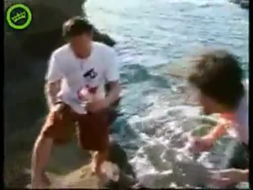 Странно животно избухва