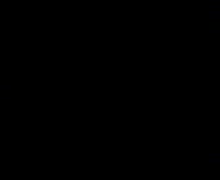 Aliosha - Sasho Bikov - Ico Buhala - Jovan
