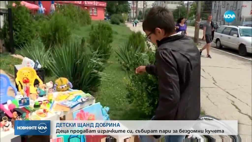 Деца продават играчките си, събират пари за бездомни кучета