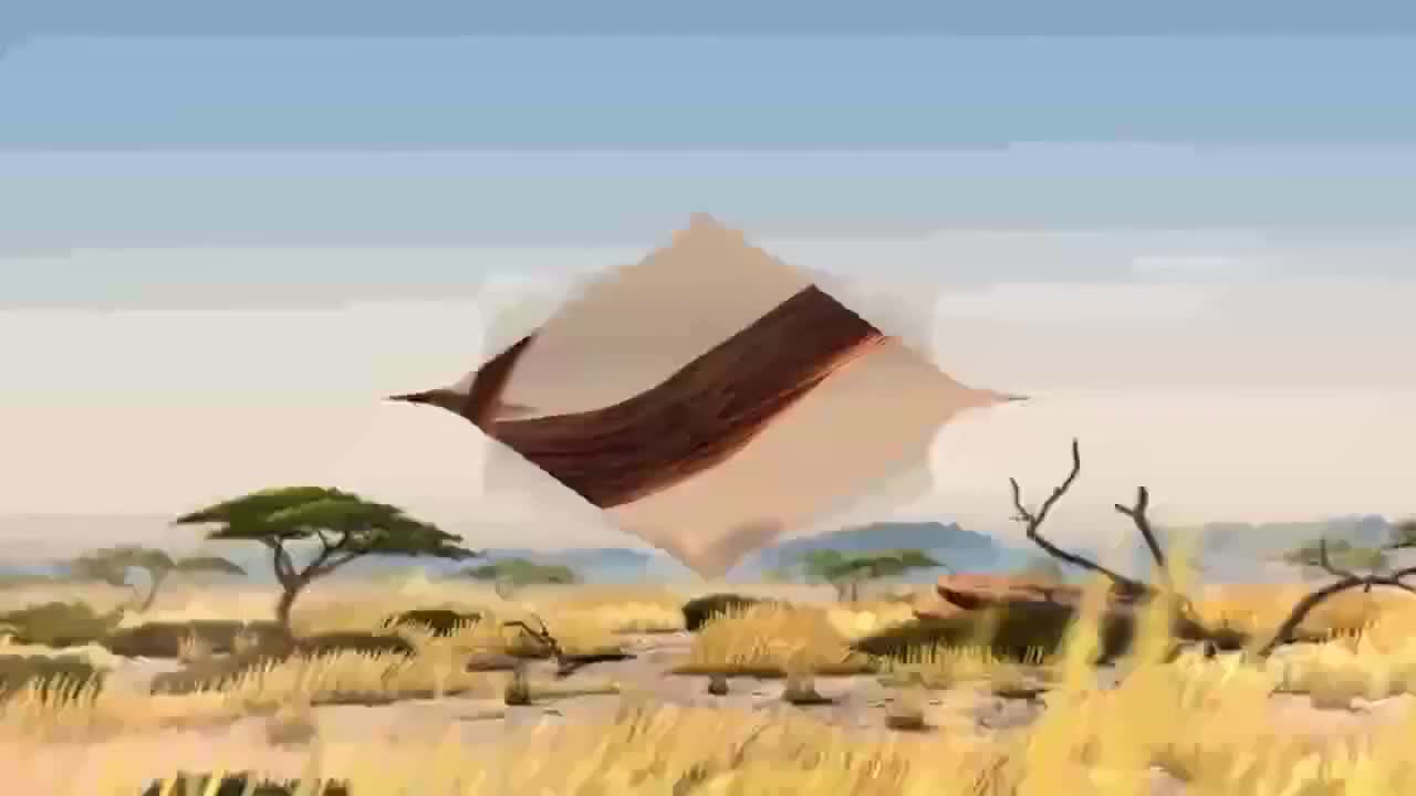 Как щяха да изглеждат животните ако ядяха в Макдоналдс